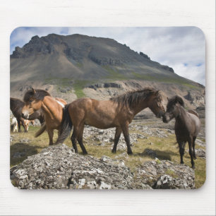 Mousepad Rebanho de Cavalos, Perto de Hofn, Islândia