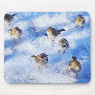 Mousepad Rebanho de pardais de casa do "domesticus
