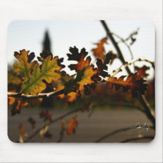 Mousepad Rebento de Nouveau da arte