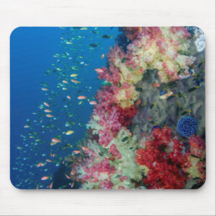 Mousepad Recife de coral submarino, Indonésia