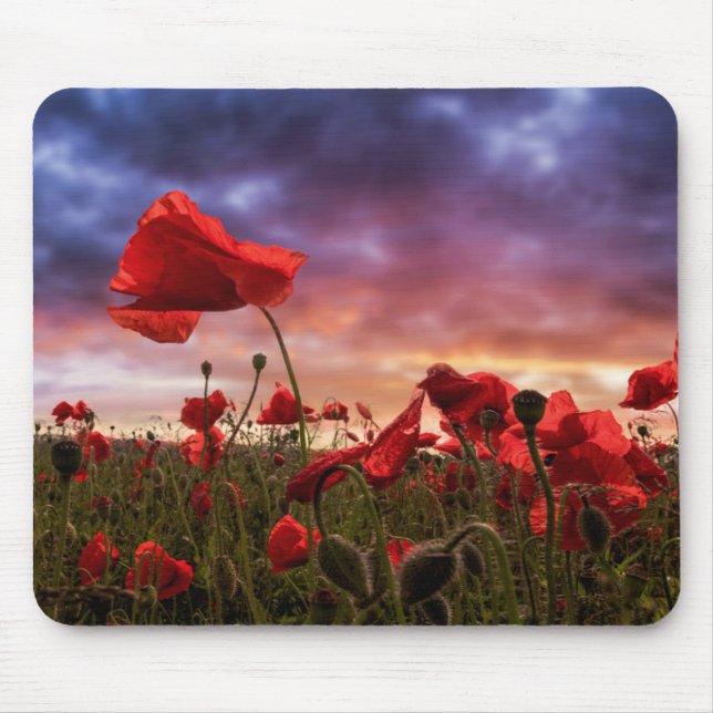 Mousepad Recordando o campo de | das papoilas (Frente)