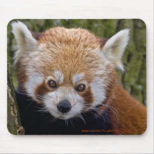 Mousepad Red Bandit Mousemat