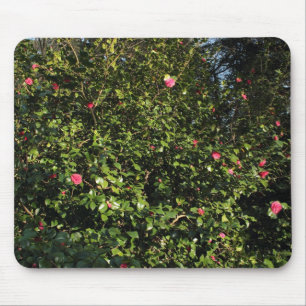 Mousepad Red Camellia Bush