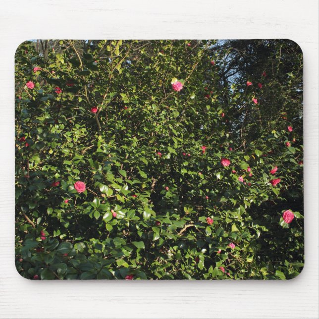 Mousepad Red Camellia Bush (Frente)
