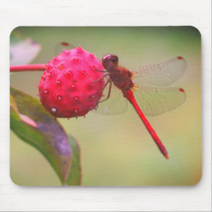 Mousepad Red Dragonfly Nature