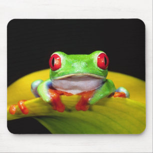 Mousepad Red Eye Treefrog, Agalychinis callidryas, Nativo