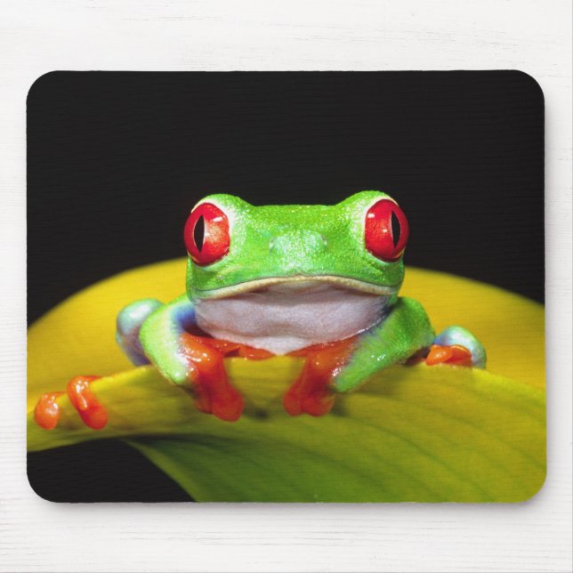 Mousepad Red Eye Treefrog, Agalychinis callidryas, Nativo (Frente)