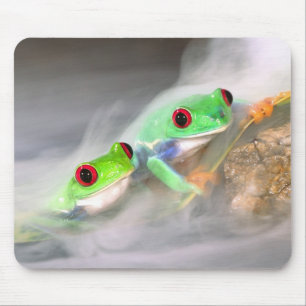 Mousepad Red Eye Treefrog na neblina, Agalychinis 2