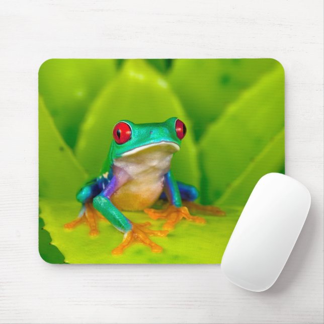 Mousepad Red-eyed tree frog, Costa Rica (Com mouse)