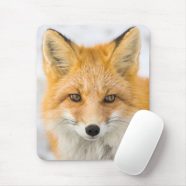 Mousepad Red Fox Portrait (Com mouse)