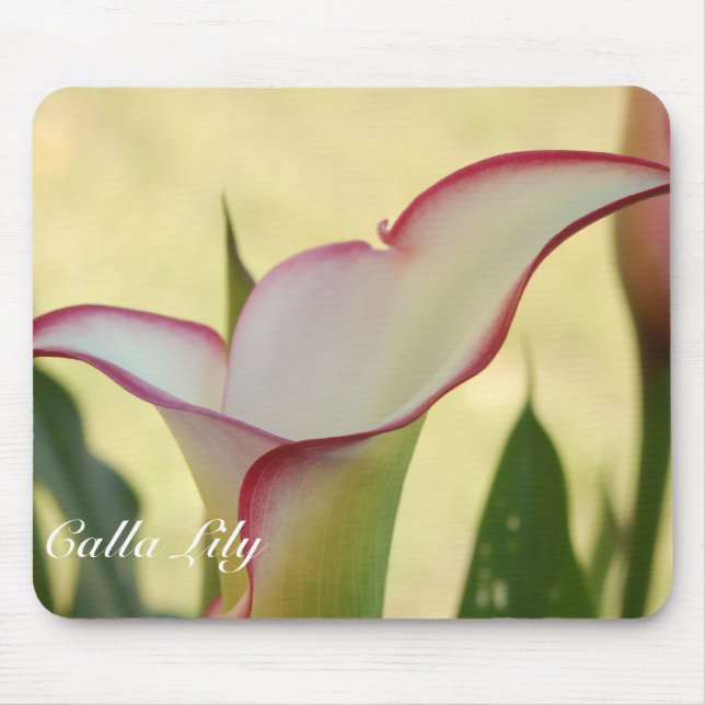 Mousepad Red Fringe Calla Lily (Frente)
