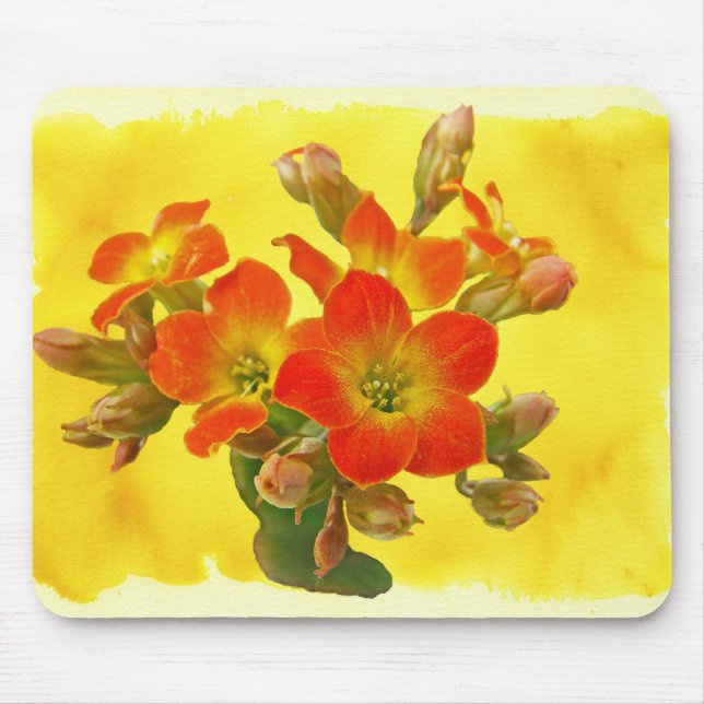 Mousepad Red Kalanchoe - Sunshine Suculente (Frente)