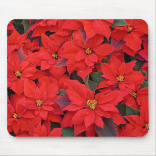 Mousepad Red Poinsettias I Festa Floral de Natal