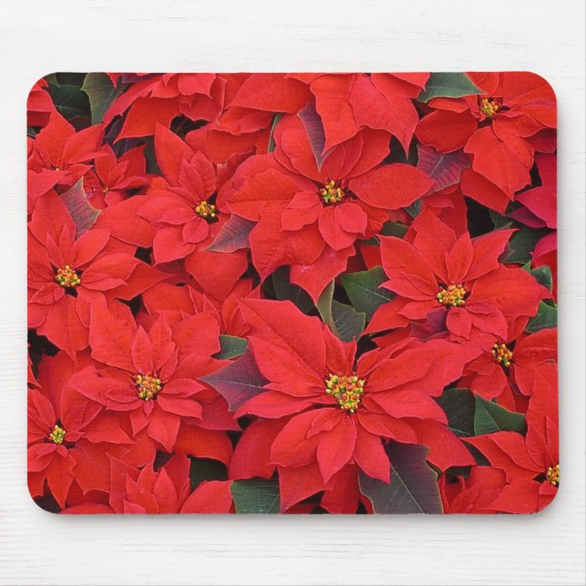 Mousepad Red Poinsettias I Festa Floral de Natal (Frente)