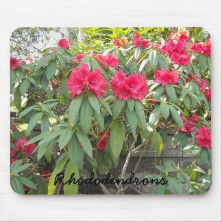 Mousepad Red Rhododendrons