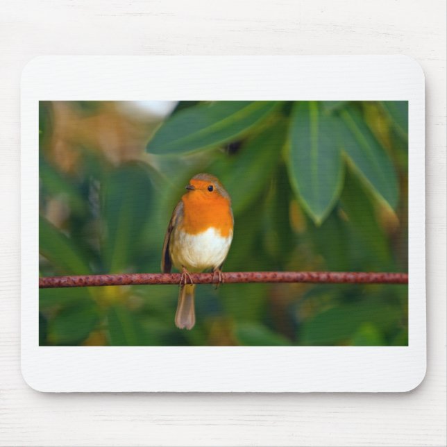 Mousepad Red ROBIN (Frente)