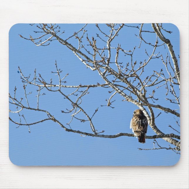 Mousepad Red Tailed Hawk (Frente)