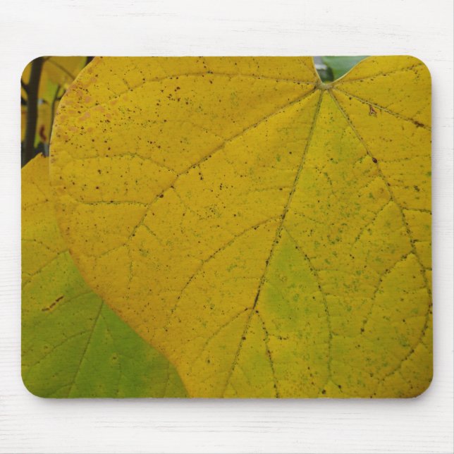Mousepad Redbud Amarelo deixa fotografia do outono (Frente)