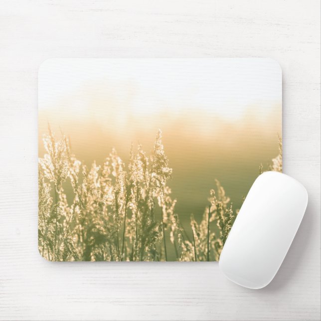 Mousepad Reed Sunset Nature Photo (Com mouse)