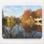 Mousepad Reflexões do Central Park no outono<br><div class="desc">Reflexões do Central Park no Mousepad de outono para parar e aproveitar o cenário. Um acessório de excelente para o único mouse que você quer que esteja correndo com um mouse pad personalizado para sua casa ou escritório! Visite Central Park e Ponte de Arco durante o glorioso outono e desfrute...</div>