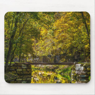 Mousepad Reflexões do Iniciante ao Pintor