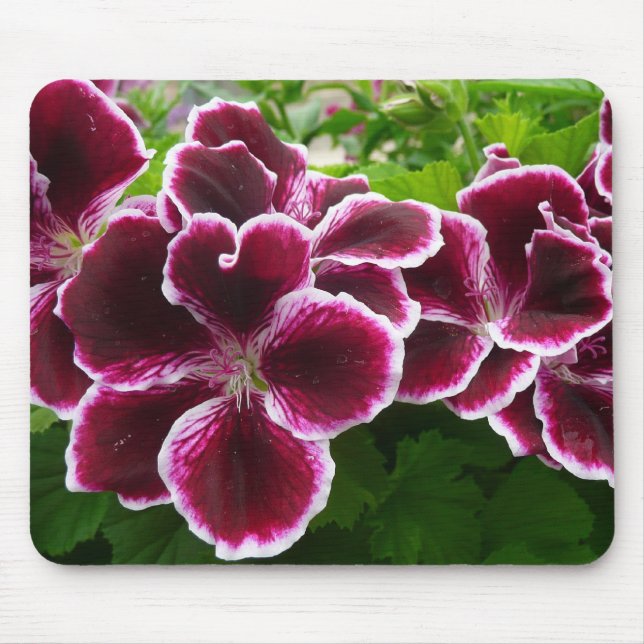 Mousepad Regal Geranium Flores Elegantes Maroon Floral Lugg (Frente)