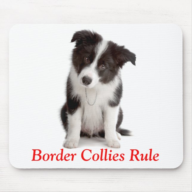 Mousepad Regra de Collies de Borda Cachorros Cachorros Cach (Frente)
