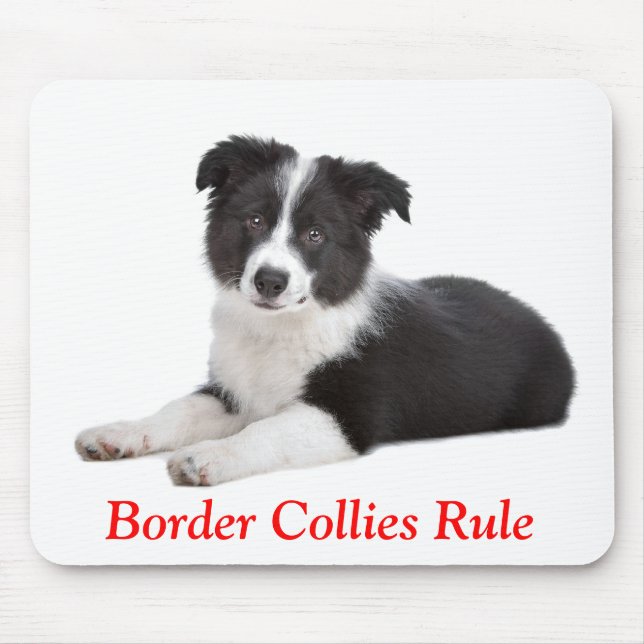 Mousepad Regra de Collies de Borda Cachorros Cachorros Cach (Frente)