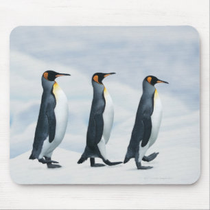 Mousepad Rei pinguins que andam no único arquivo