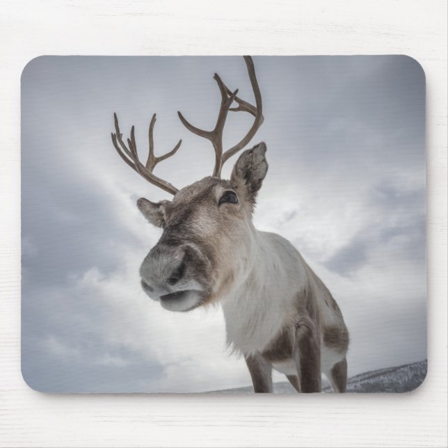 Mousepad Reindeer Nature Photo (Frente)