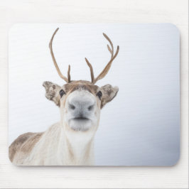 Mousepad Reindeer Nature Photo