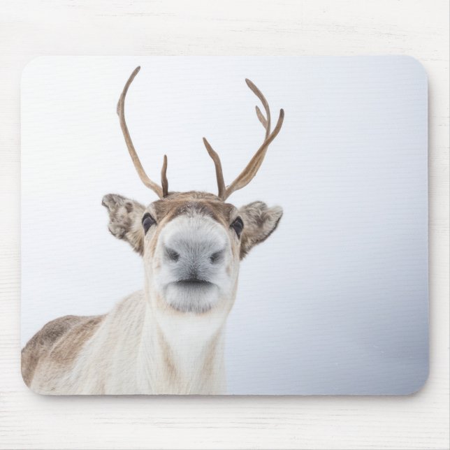 Mousepad Reindeer Nature Photo (Frente)