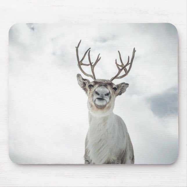 Mousepad Reindeer Nature Photo (Frente)