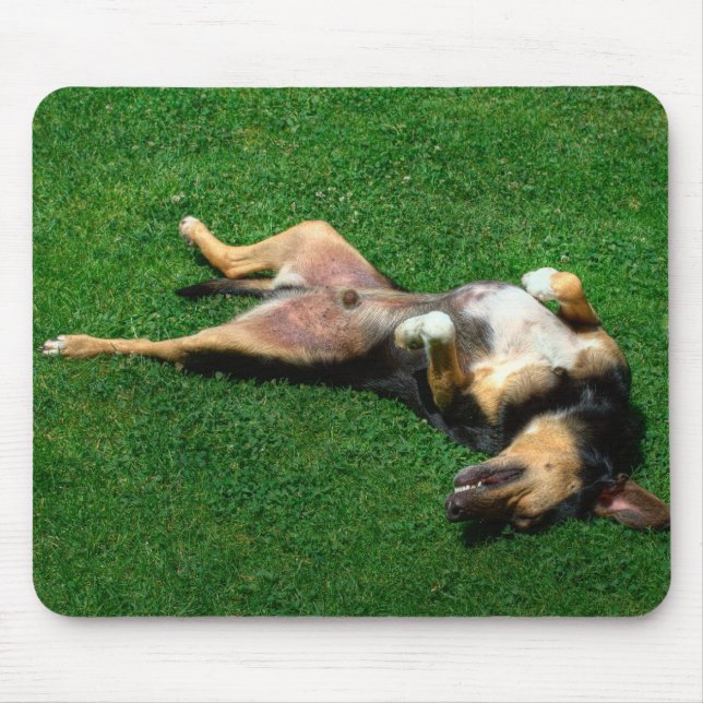 Mousepad relaxado (Frente)