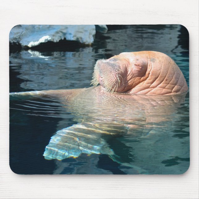 Mousepad Relaxando o Pad do Mouse Walrus (Frente)