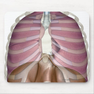 Mousepad rendição 3d do sistema respiratório