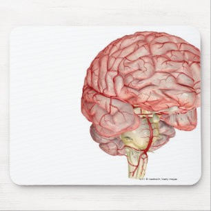 Mousepad Rendição de Realitic do cérebro humano