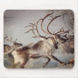 Mousepad Renos Noruegueses, Suporte de Rato