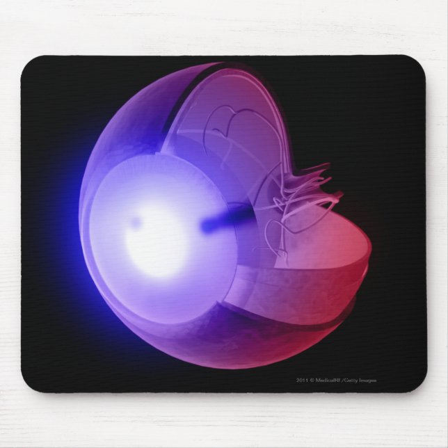 Mousepad Representação da estrutura do olho (Frente)