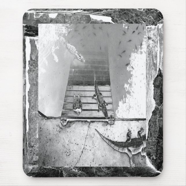 Mousepad Répteis (Frente)