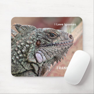 Mousepad Réptil Exótico