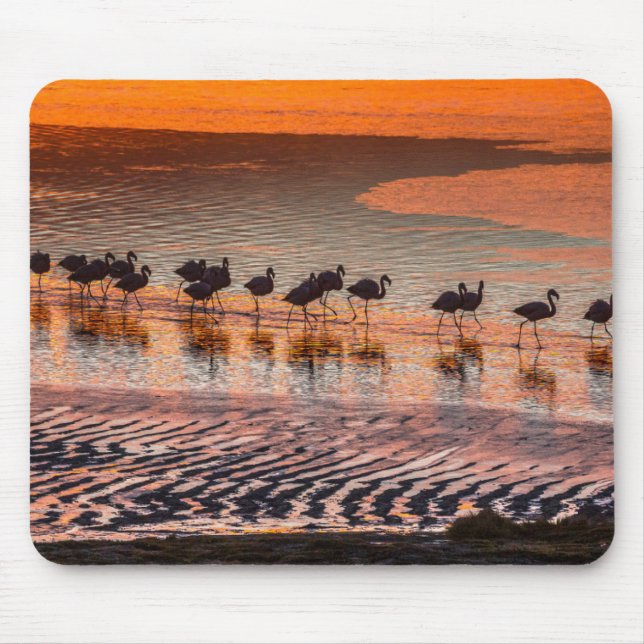 Mousepad Reserva Nacional da Fauna Andina Eduardo Abaroa (Frente)
