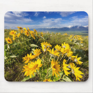 Mousepad Reserva Nacional de Bisons