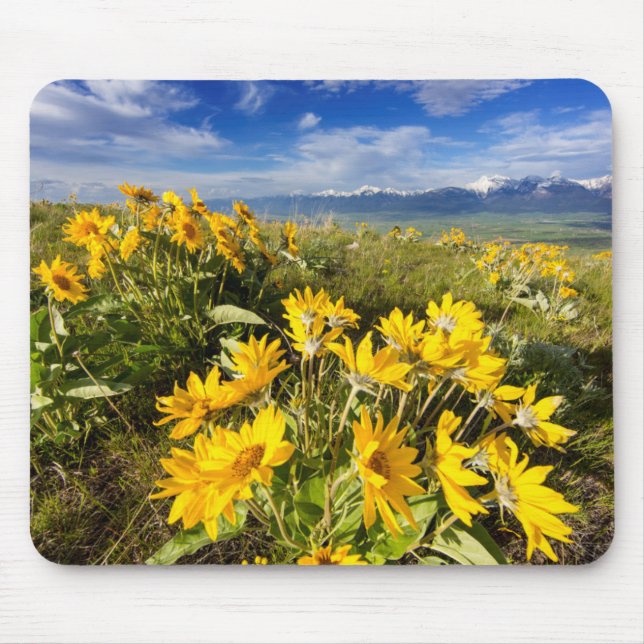 Mousepad Reserva Nacional de Bisons (Frente)