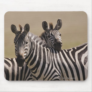 Mousepad Reserva nacional de Mara do Masai, Kenya, em julho