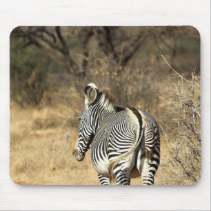 Mousepad Reserva nacional de Samburu, Kenya