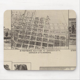 Mousepad Residências no Kansas