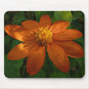 Mousepad Ressonância sobre o Surgimento Mexicano de Laranja