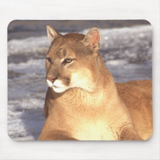 Mousepad Resto do puma (Frente)