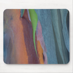Mousepad Resumo da Árvore de Goma Arco-Íris